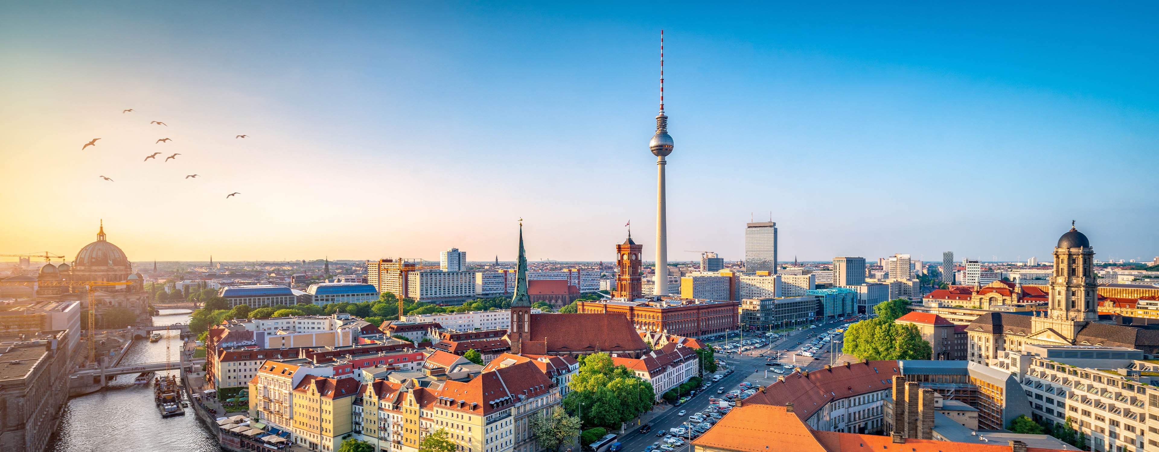 Travel Plug Adaptors - Germany