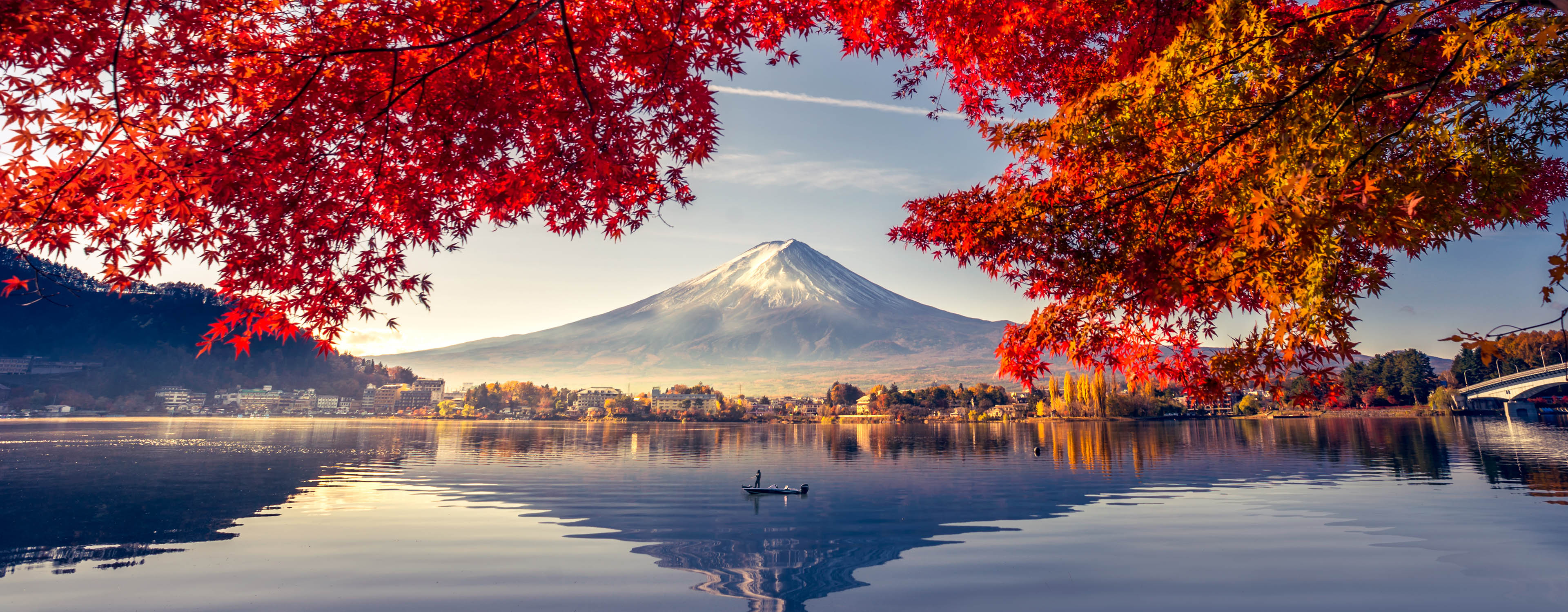 Travel Plug Adaptors - Japan