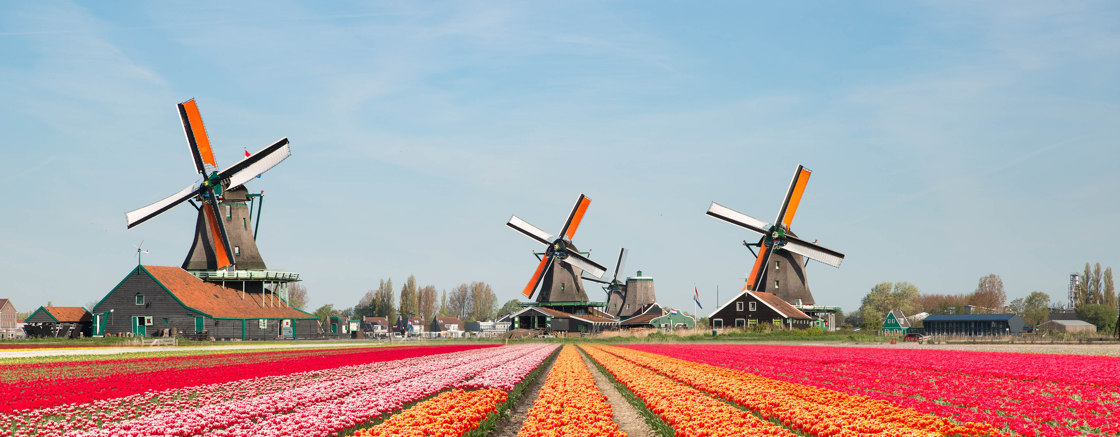 Travel Plug Adaptors - Netherlands