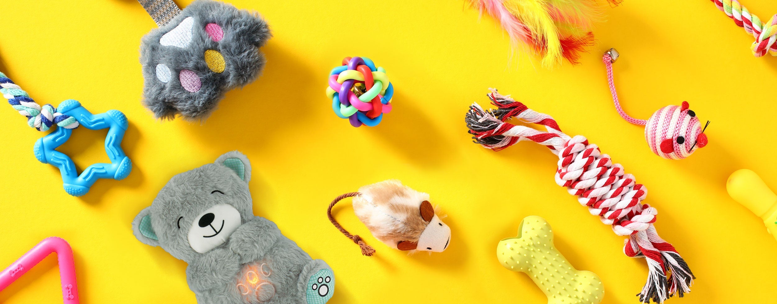 Pet Toys