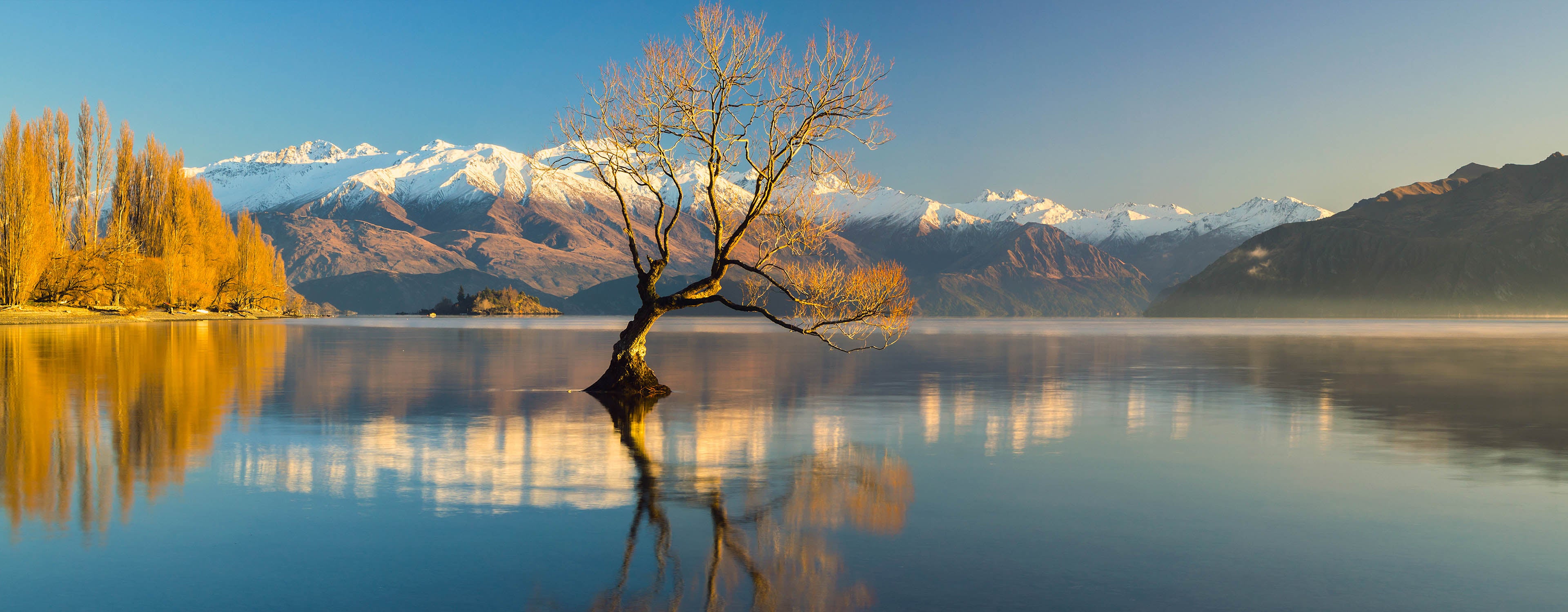 Travel Plug Adaptors - New Zealand