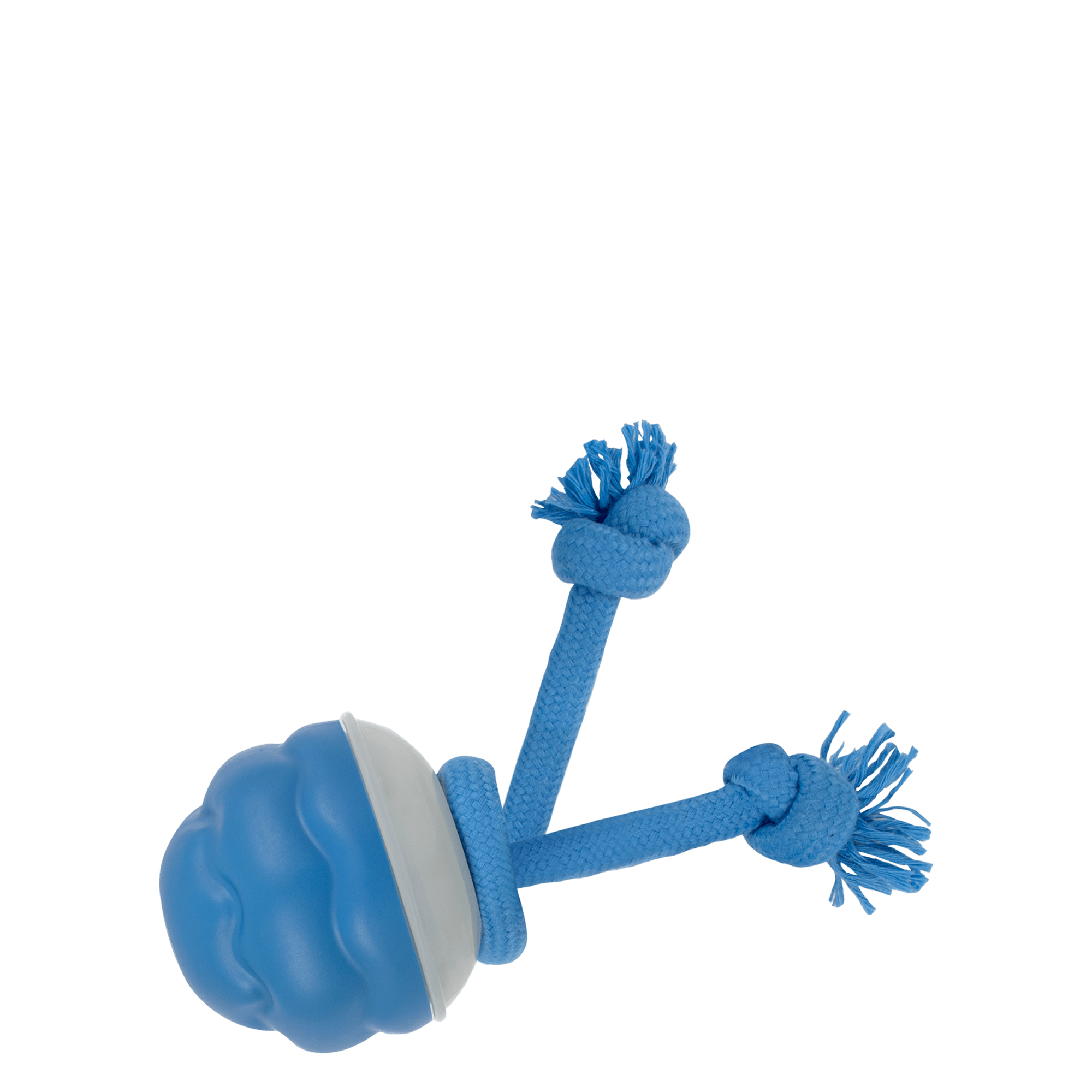 Interactive Dog Toy Spin Tug