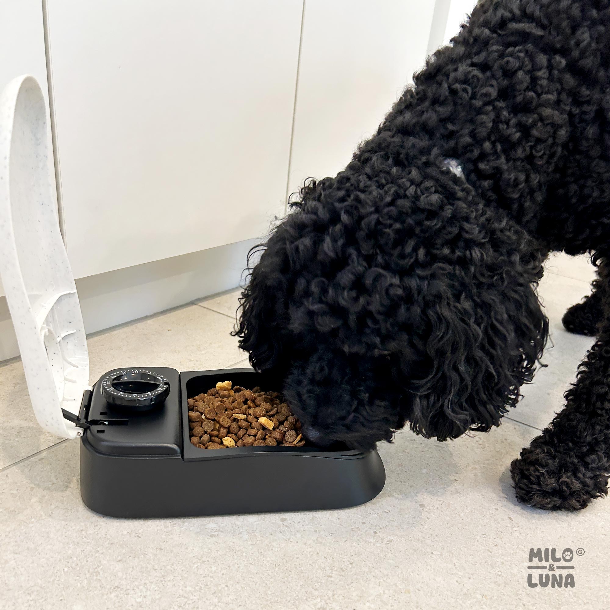Auto Pet Feeder Single