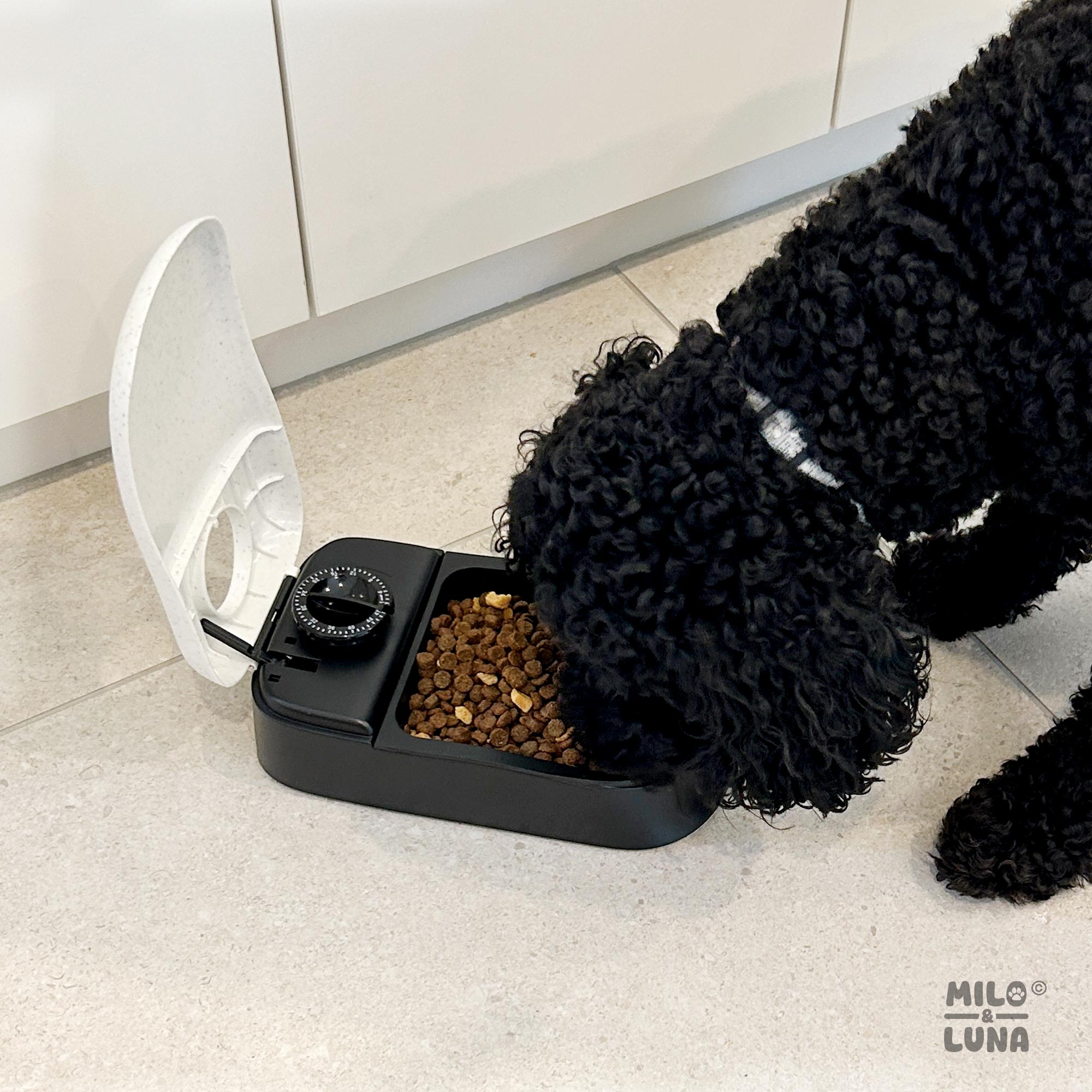 Auto Pet Feeder Single