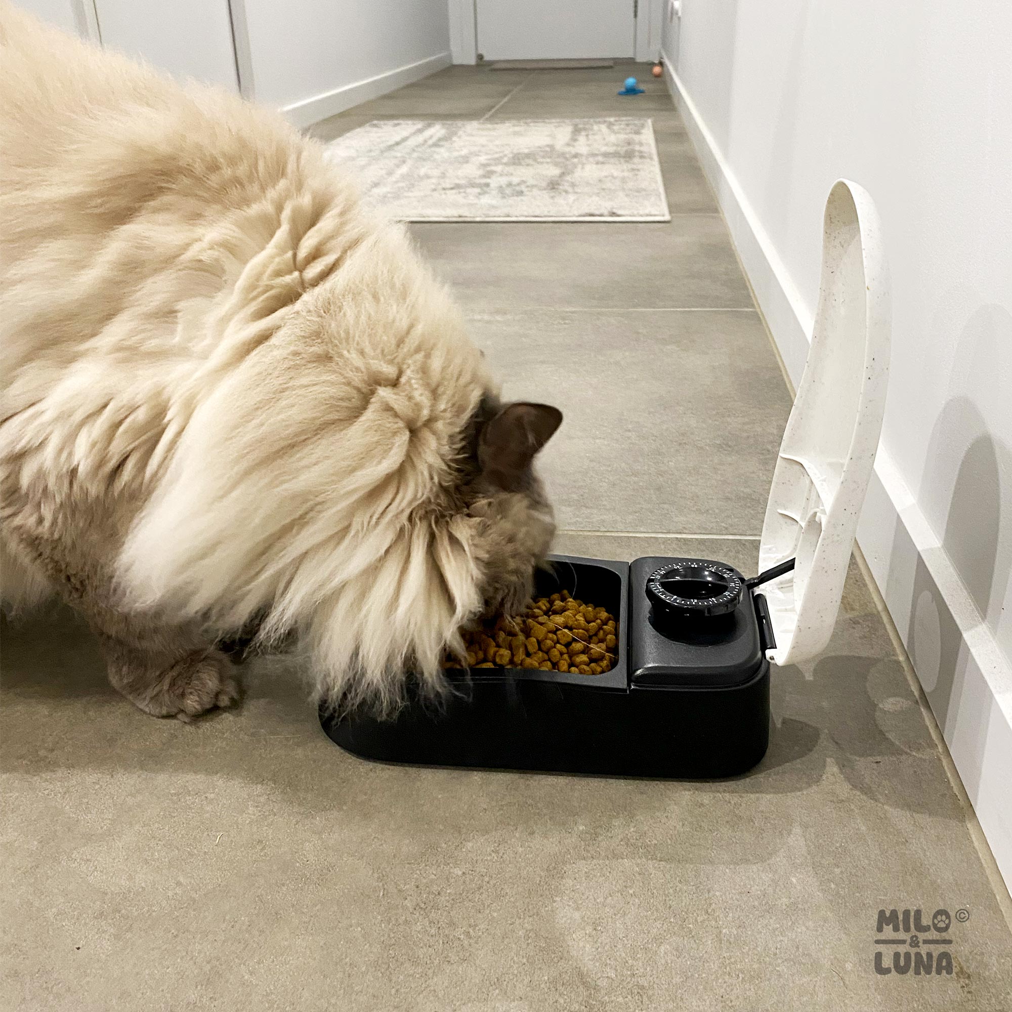 Auto Pet Feeder Single