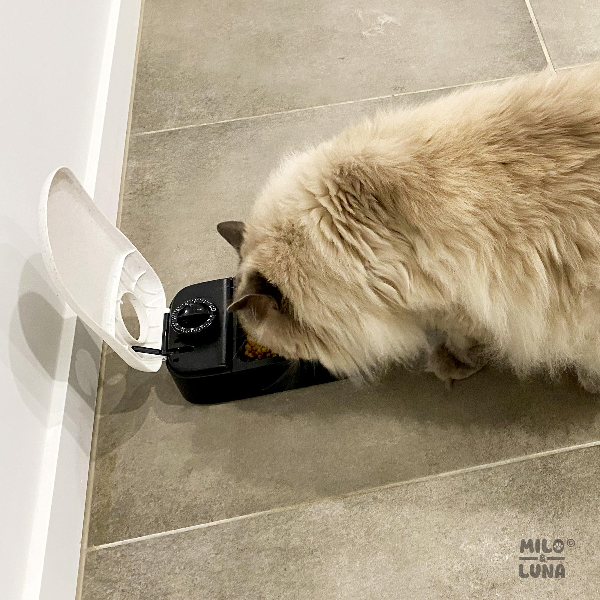 Auto Pet Feeder Single