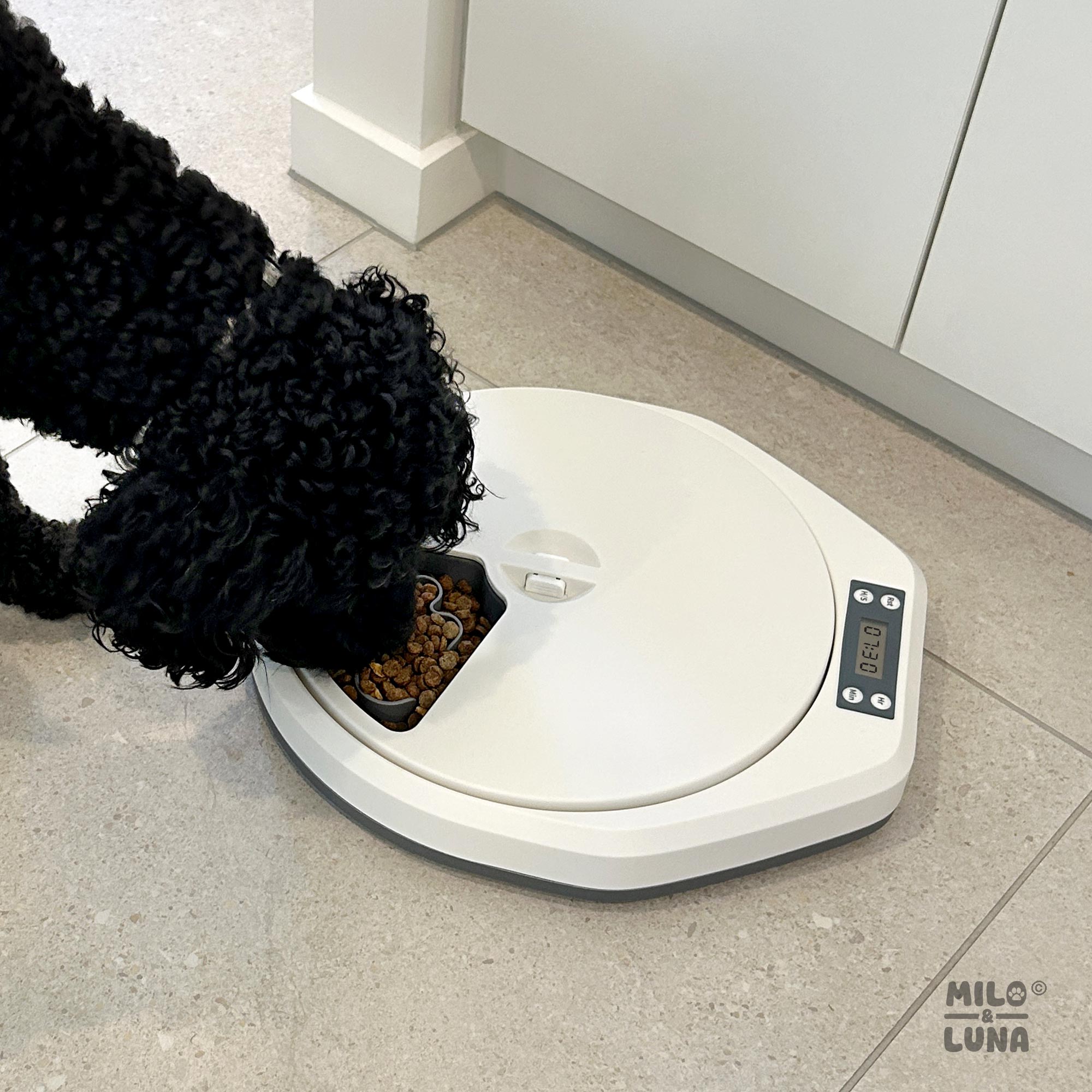 Auto Pet Feeder 5 Meals