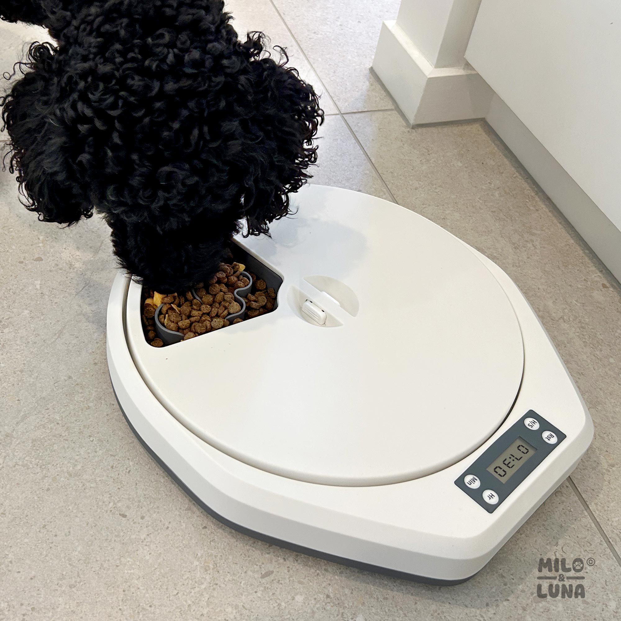 Auto Pet Feeder 5 Meals