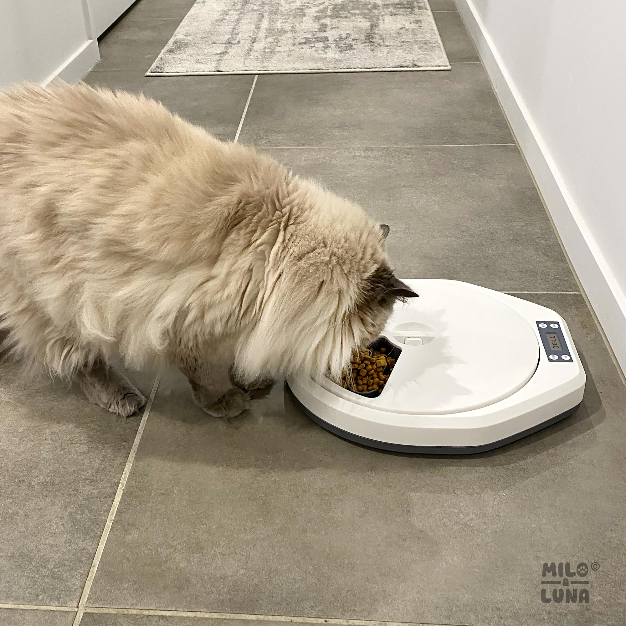 Auto Pet Feeder 5 Meals