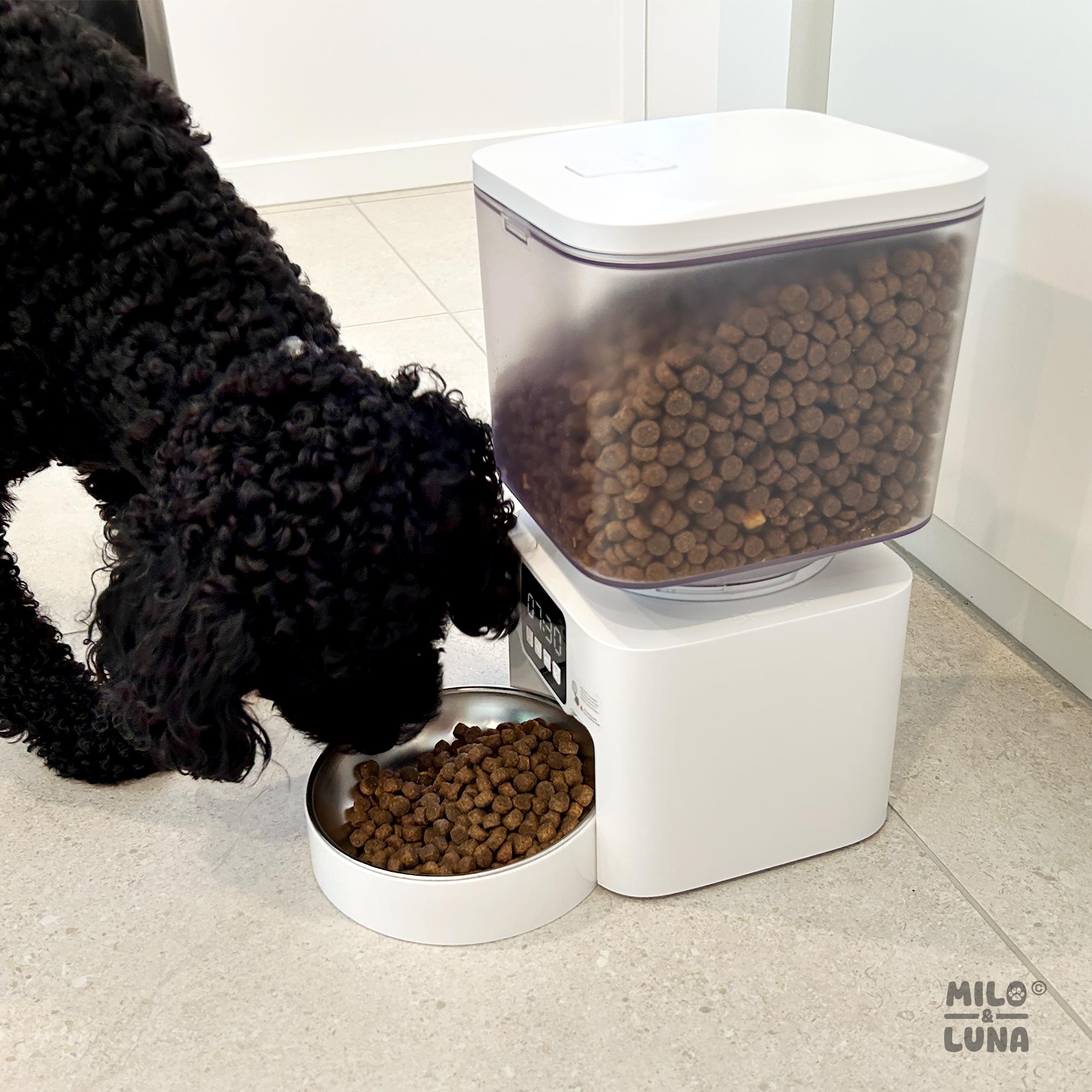 Auto Pet Feeder 4.5L