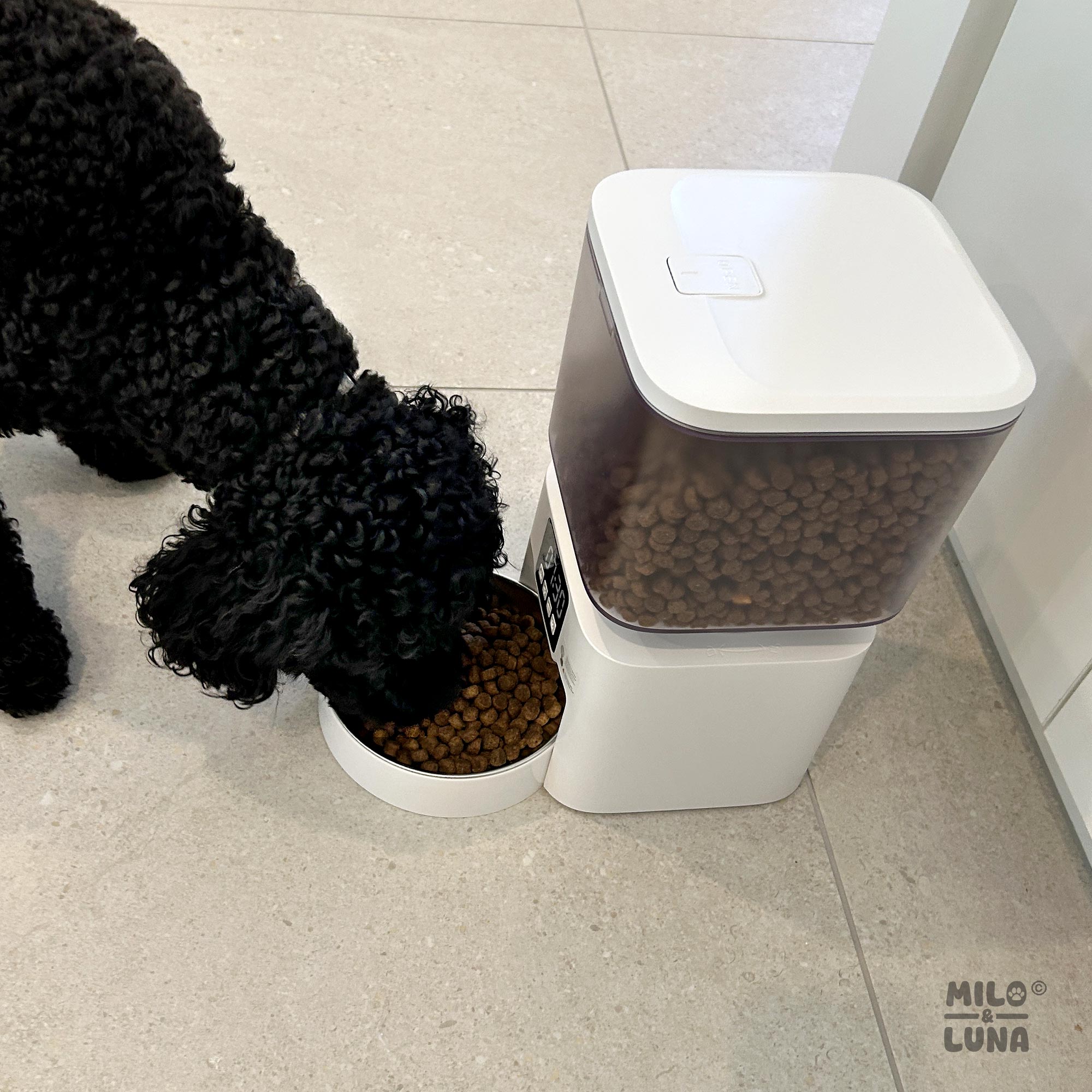 Auto Pet Feeder 4.5L