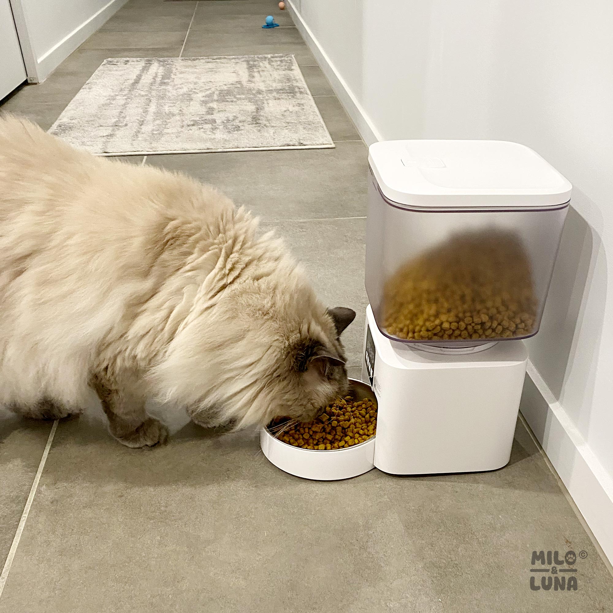 Auto Pet Feeder 4.5L