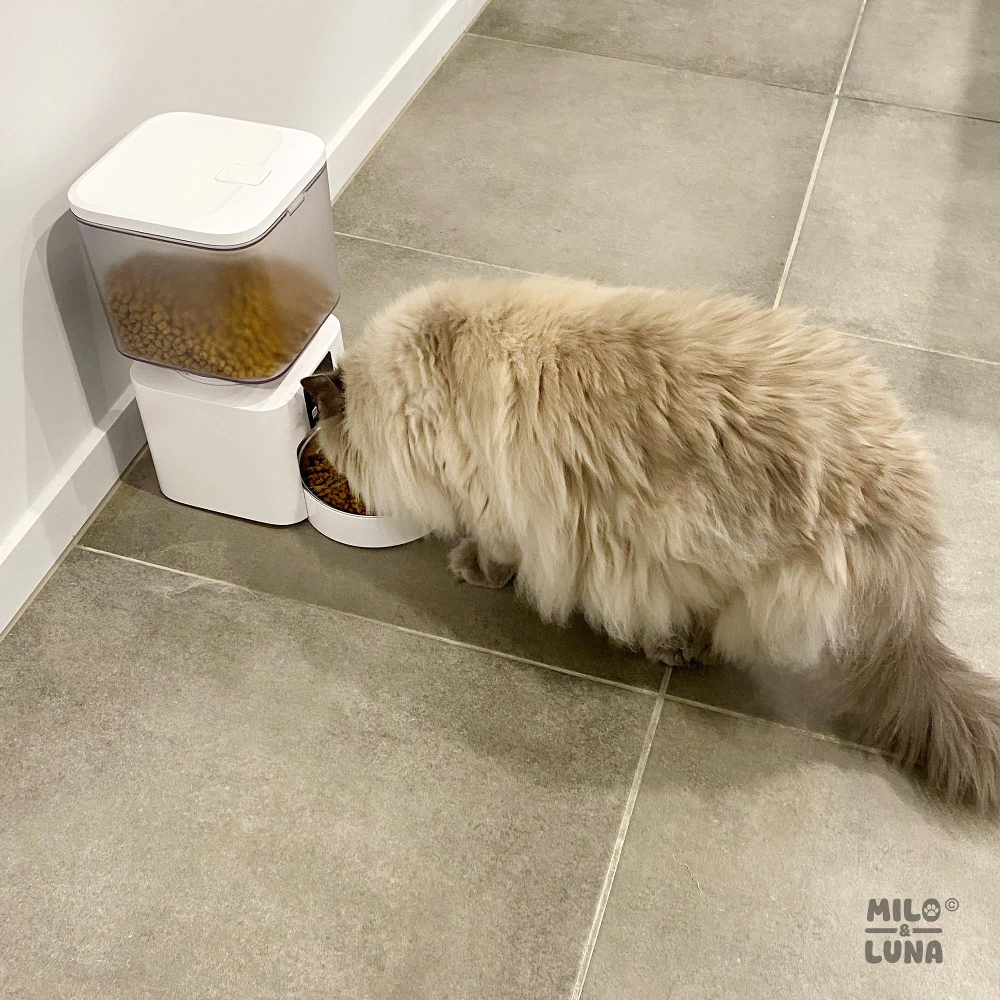 Auto Pet Feeder 4.5L